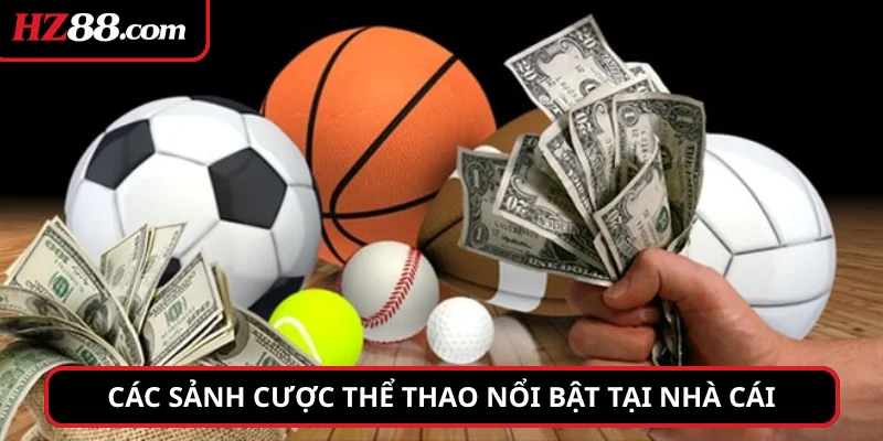 Các sảnh cược thể thao nổi bật tại nhà cái