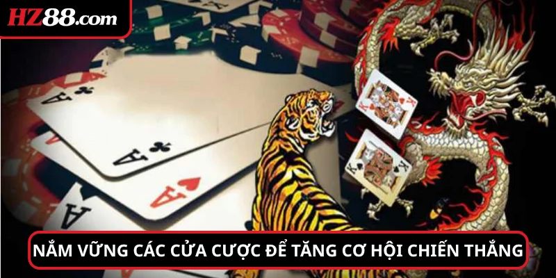 Nắm vững các cửa cược để tăng cơ hội chiến thắng