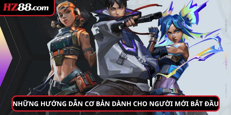 Những hướng dẫn cơ bản dành cho người mới bắt đầu