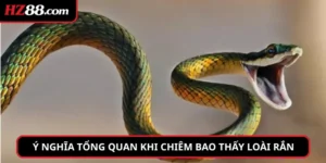 Ý nghĩa tổng quan khi chiêm bao thấy loài rắn